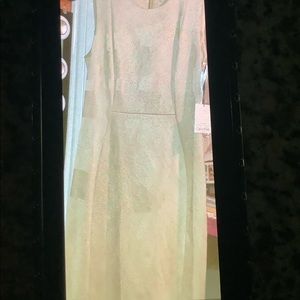 Calvin Klein New Dress Size 6 Color Cream